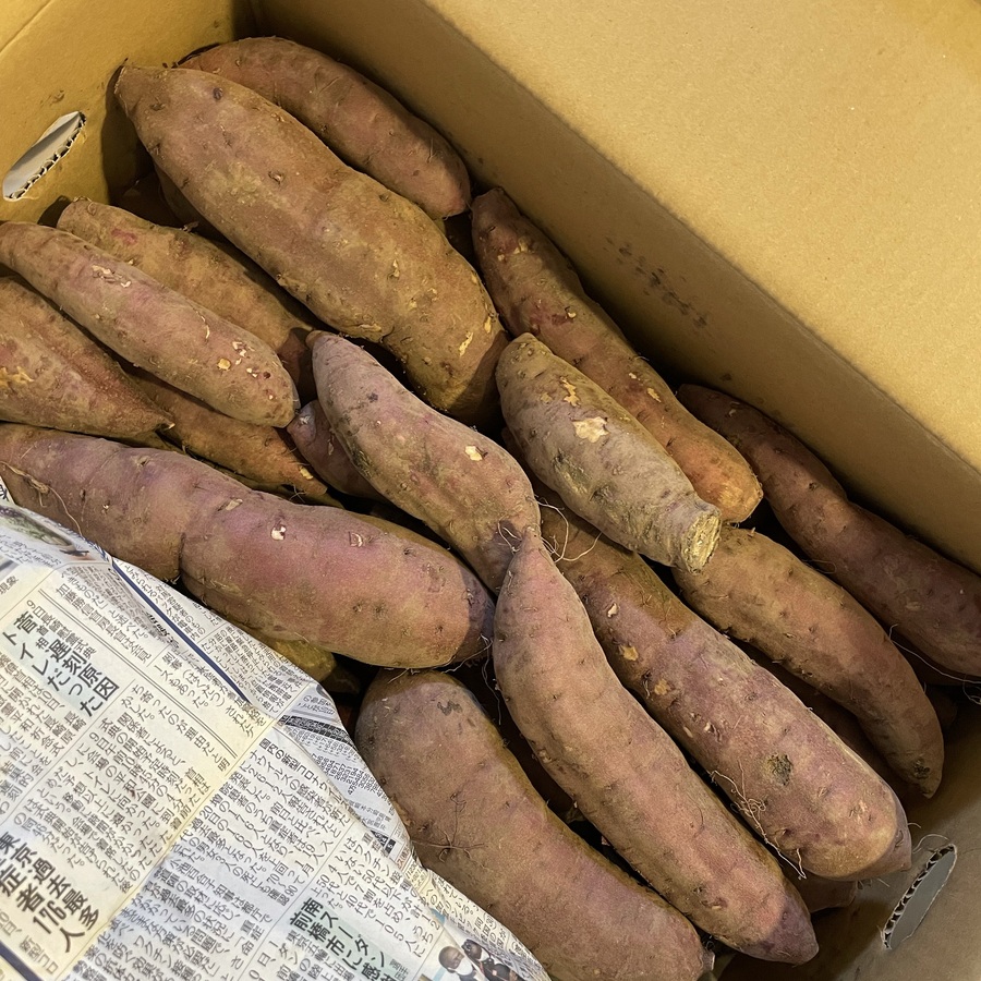 送料無料 訳あり 鹿児島県産 紅はるか 10キロ サツマイモ さつまいも 10kg Let レット 訳あり品 食品ロス削減のマーケット